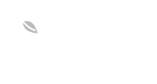 Mango proxy